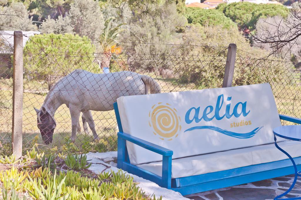 Aelia Studios Koukounaries Exterior photo
